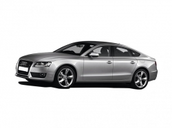 Ворсовые коврики в салон  Audi A5 I (8T) Лифтбек Sportback (2007 - 2016)