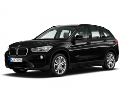 Ворсовые коврики в салон  BMW X1 II (F48) (2015 - ...)