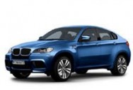 Ворсовые коврики в салон  BMW X6 I (E71) (2007 - 2014)