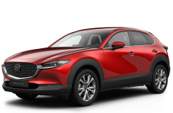 Ворсовые коврики в салон  Mazda CX-30 (2019 - ...)