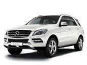 Ворсовые коврики в салон  Mercedes-Benz M-Class III (W166) (2011 - 2015)