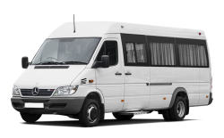 Ворсовые коврики в салон  Mercedes-Benz Sprinter I (W901) (313) (2000 - 2006) Передние коврики