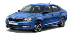 Ворсовые коврики в салон  Skoda Rapid I (NH3) (2012 - …)