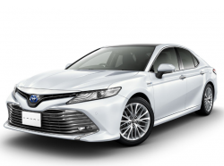 Ворсовые коврики в салон  Toyota Camry XV70 (2017 - ...)